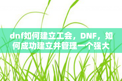dnf如何建立工会，DNF，如何成功建立并管理一个强大的工会