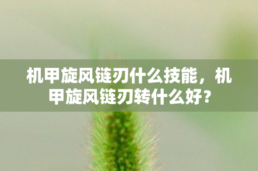 机甲旋风链刃什么技能，机甲旋风链刃转什么好？