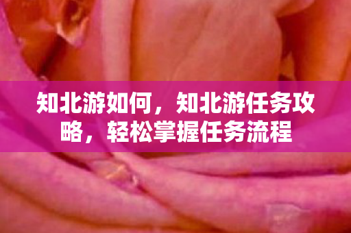 知北游如何，知北游任务攻略，轻松掌握任务流程