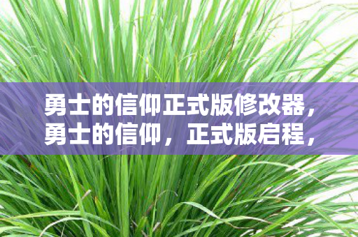 勇士的信仰正式版修改器，勇士的信仰，正式版启程，探索未知世界的勇气之旅