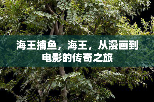 海王捕鱼，海王，从漫画到电影的传奇之旅