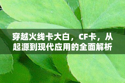 穿越火线卡大白，CF卡，从起源到现代应用的全面解析