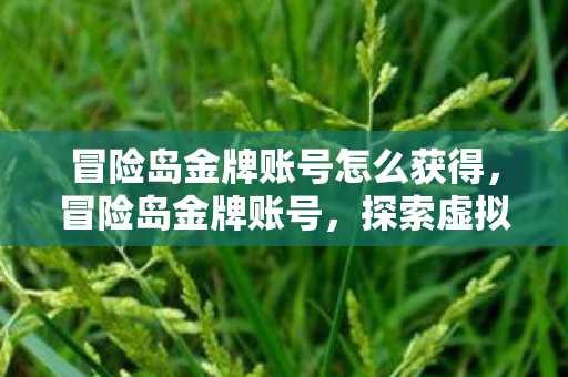 冒险岛金牌账号怎么获得，冒险岛金牌账号，探索虚拟世界的荣耀之路