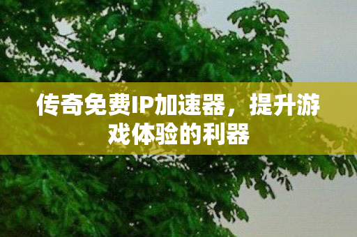 传奇免费IP加速器,提升游戏体验的利器 传奇免费IP加速器,提升游戏体验的利器