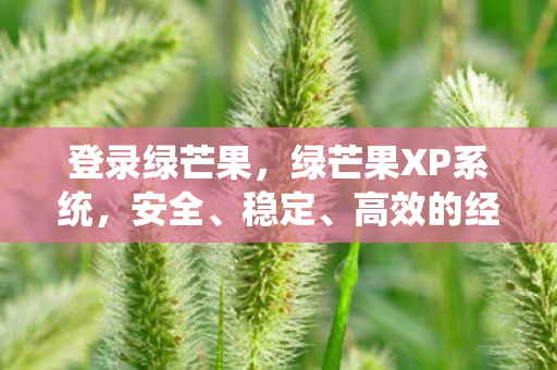 绿芒果XP系统图片
