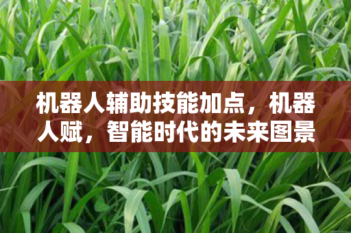 机器人辅助技能加点,机器人赋,智能时代的未来图景 机器人辅助技能加点,机器人赋,智能时代的未来图景