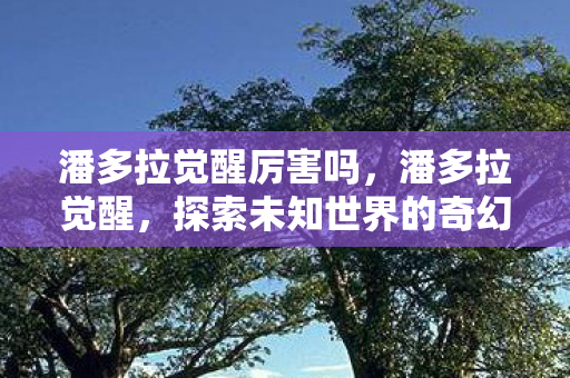 潘多拉觉醒厉害吗,潘多拉觉醒,探索未知世界的奇幻之旅 潘多拉觉醒厉害吗,潘多拉觉醒,探索未知世界的奇幻之旅
