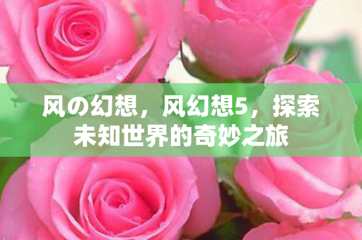 风の幻想,风幻想5,探索未知世界的奇妙之旅 风の幻想,风幻想5,探索未知世界的奇妙之旅