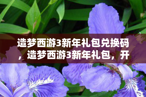 造梦西游3新年礼包兑换码，造梦西游3新年礼包，开启你的西游冒险之旅