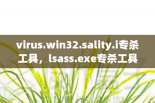 virus.win32.sality.i专杀工具，lsass.exe专杀工具，守护系统安全的秘密武器