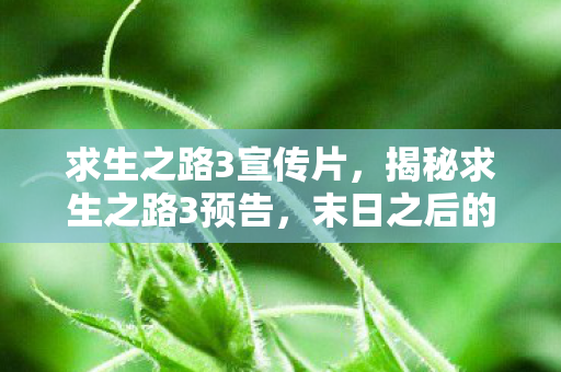 求生之路3宣传片，揭秘求生之路3预告，末日之后的希望与挑战