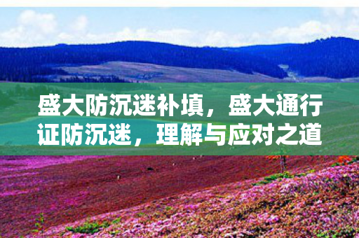 盛大防沉迷补填，盛大通行证防沉迷，理解与应对之道