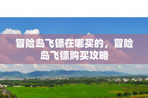 冒险岛飞镖在哪买的，冒险岛飞镖购买攻略