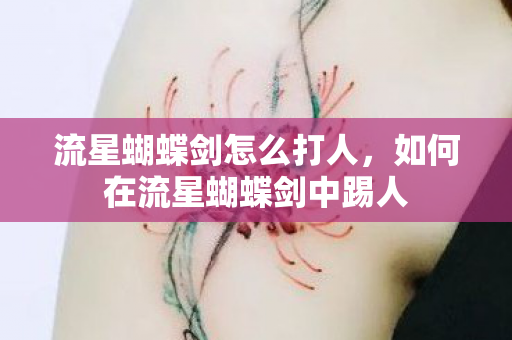 如何在流星蝴蝶剑中踢人图片