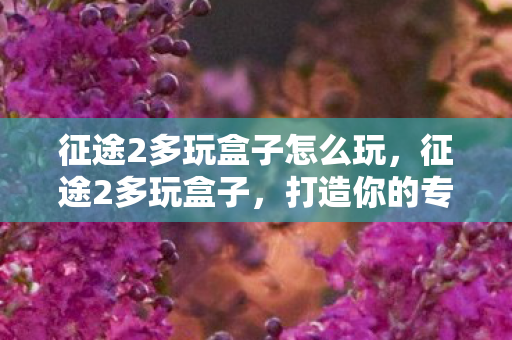 征途2多玩盒子怎么玩，征途2多玩盒子，打造你的专属游戏世界