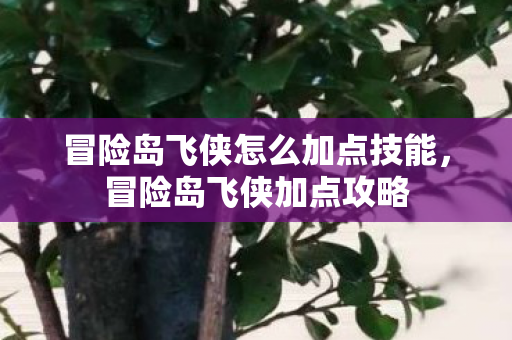 冒险岛飞侠怎么加点技能，冒险岛飞侠加点攻略