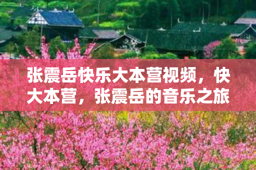张震岳快乐大本营视频，快大本营，张震岳的音乐之旅