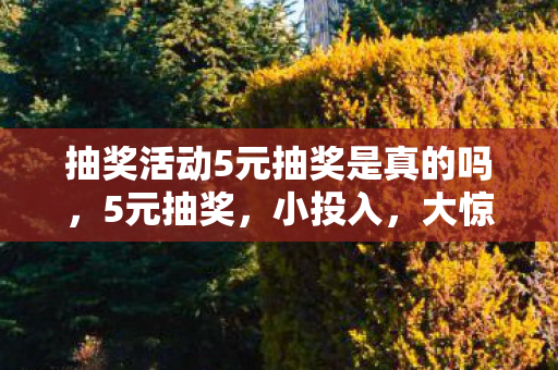 抽奖活动5元抽奖是真的吗，5元抽奖，小投入，大惊喜的娱乐新选择