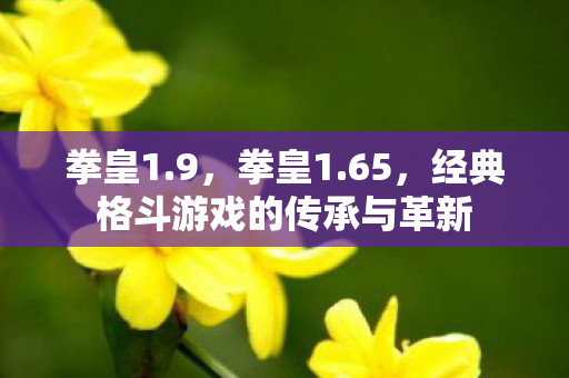 拳皇1.9，拳皇1.65，经典格斗游戏的传承与革新