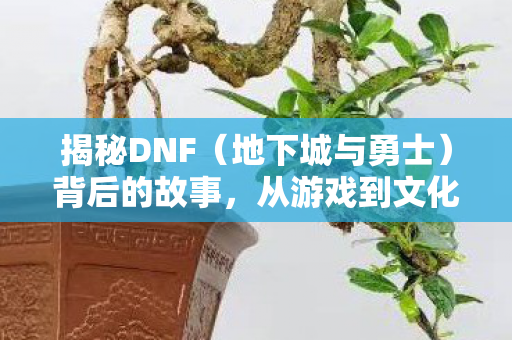 揭秘DNF（地下城与勇士）背后的故事，从游戏到文化的深度剖析