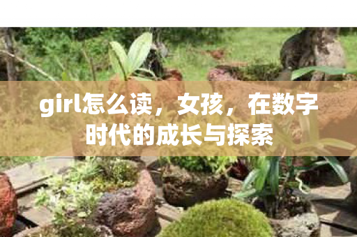girl怎么读,女孩,在数字时代的成长与探索 girl怎么读,女孩,在数字时代的成长与探索