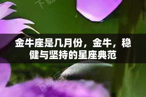 金牛座是几月份，金牛，稳健与坚持的星座典范