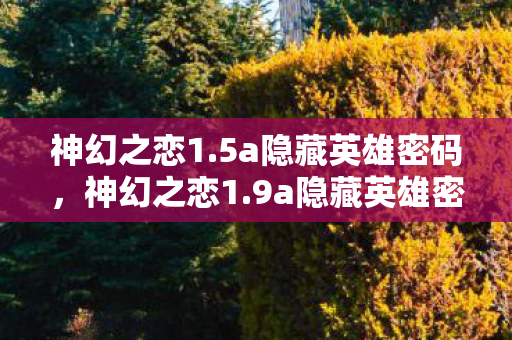 神幻之恋1.5a隐藏英雄密码，神幻之恋1.9a隐藏英雄密码揭秘，解锁传奇之旅的钥匙