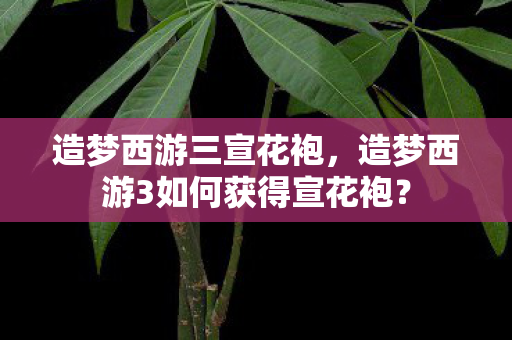 造梦西游三宣花袍，造梦西游3如何获得宣花袍？