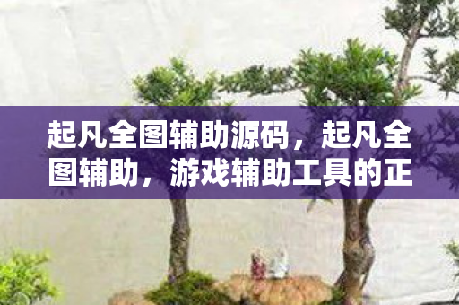 起凡全图辅助源码，起凡全图辅助，游戏辅助工具的正确使用与反思