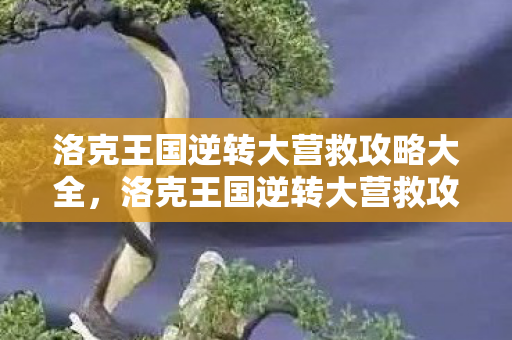 洛克王国逆转大营救攻略大全，洛克王国逆转大营救攻略