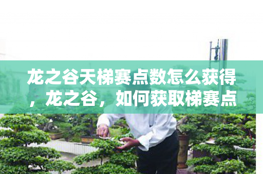 龙之谷天梯赛点数怎么获得,龙之谷,如何获取梯赛点数 龙之谷天梯赛点数怎么获得,龙之谷,如何获取梯赛点数