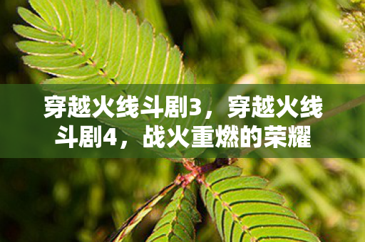 穿越火线斗剧3,穿越火线斗剧4,战火重燃的荣耀 穿越火线斗剧3,穿越火线斗剧4,战火重燃的荣耀