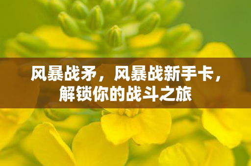风暴战矛,风暴战新手卡,解锁你的战斗之旅 风暴战矛,风暴战新手卡,解锁你的战斗之旅
