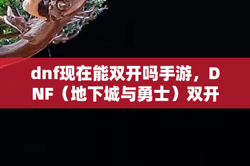 dnf现在能双开吗手游,DNF(地下城与勇士)双开攻略,轻松实现游戏多开 dnf现在能双开吗手游,DNF(地下城与勇士)双开攻略,轻松实现游戏多开