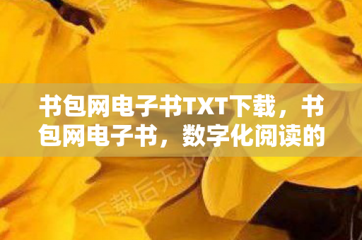 书包网电子书TXT下载图片