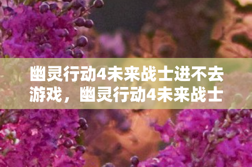 幽灵行动4未来战士无法启动解决方案图片