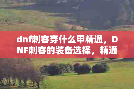 dnf刺客穿什么甲精通图片