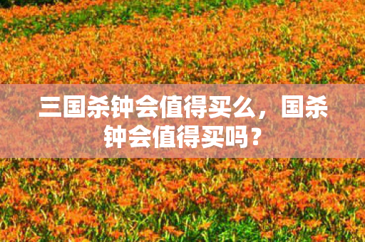 三国杀钟会值得买么图片