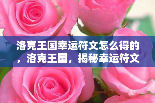 洛克王国幸运符文怎么得的图片