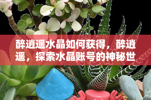 探索水晶账号的神秘世界图片