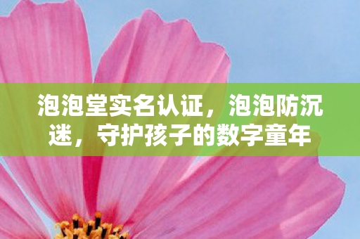 守护孩子的数字童年图片