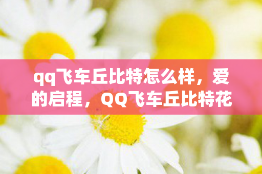 QQ飞车丘比特花园探险图片