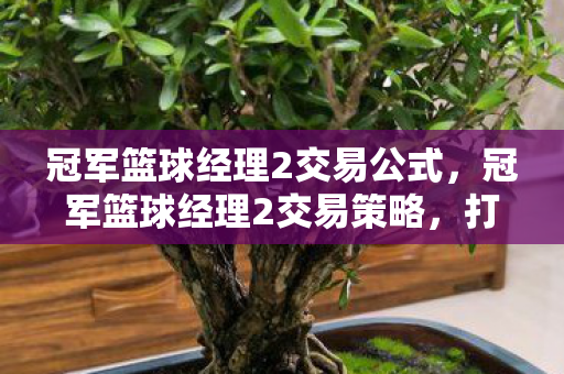 冠军篮球经理2交易公式图片