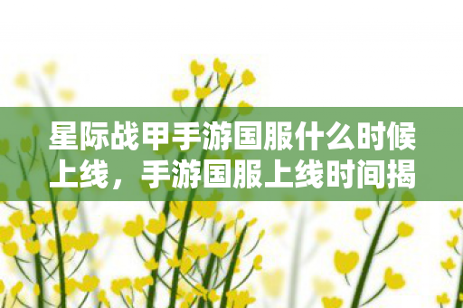 星际战甲手游国服什么时候上线，手游国服上线时间揭秘，期待与等待的交织