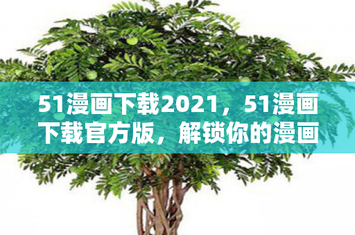 51漫画下载2021，51漫画下载官方版，解锁你的漫画世界