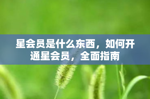 星会员是什么东西，如何开通星会员，全面指南