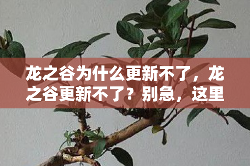 龙之谷为什么更新不了，龙之谷更新不了？别急，这里有解决方案！