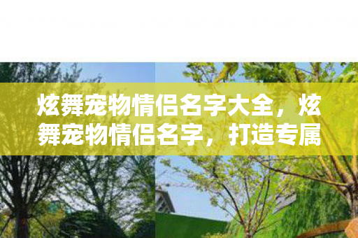 炫舞宠物情侣名字大全,炫舞宠物情侣名字,打造专属浪漫 炫舞宠物情侣名字大全,炫舞宠物情侣名字,打造专属浪漫