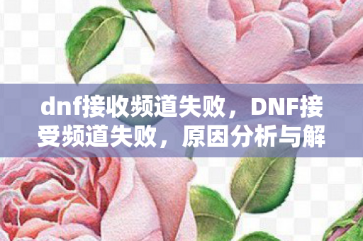 dnf接收频道失败，DNF接受频道失败，原因分析与解决策略