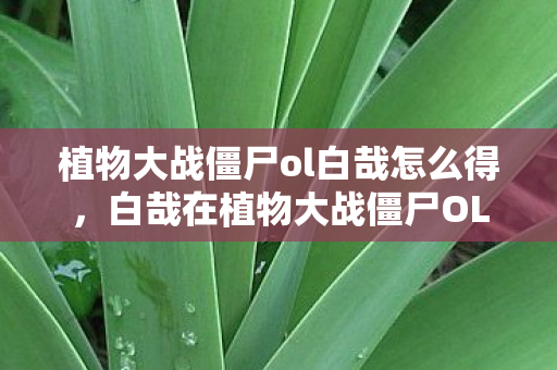 植物大战僵尸ol白哉怎么得,白哉在植物大战僵尸OL中的策略与战术解析 植物大战僵尸ol白哉怎么得,白哉在植物大战僵尸OL中的策略与战术解析